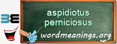 WordMeaning blackboard for aspidiotus perniciosus